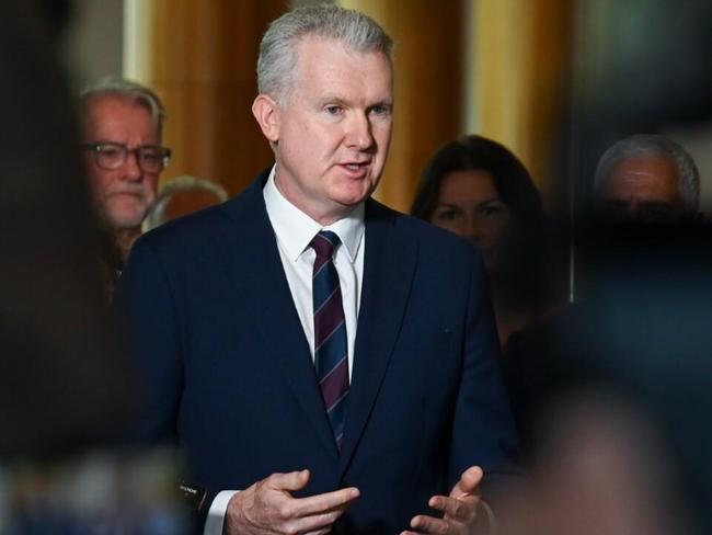 Tony Burke given ‘second chance’ as immigration minister
