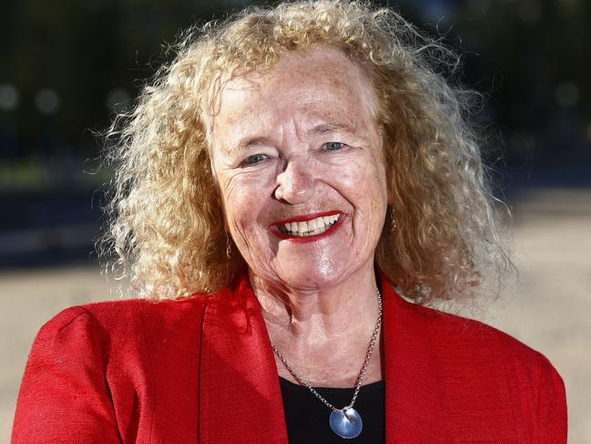 Former Randwick Mayor and Greens candidate for the 2019 State election, Lindsay Shurey.