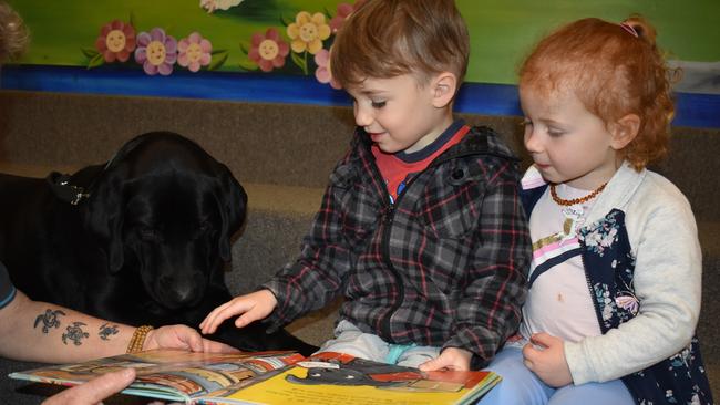 Frankie the story dog joined Kookaburra Early Learning Centre children at Casino Library for story time. Frankie bought along his owner Shelly Hayes from Coraki.