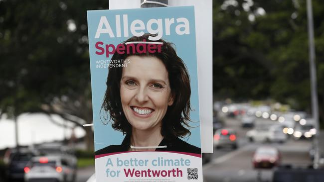 The teal removal of high-profile and hardworking Liberal moderates such as Dave Sharma in Wentworth will make the Liberal Party more conservative. Picture: John Appleyard