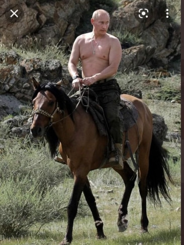 Russian President Vladimir Putin was mocked for this shirtless picture while riding a horse on holiday in 2009. Picture: Twitter/jaccocharite