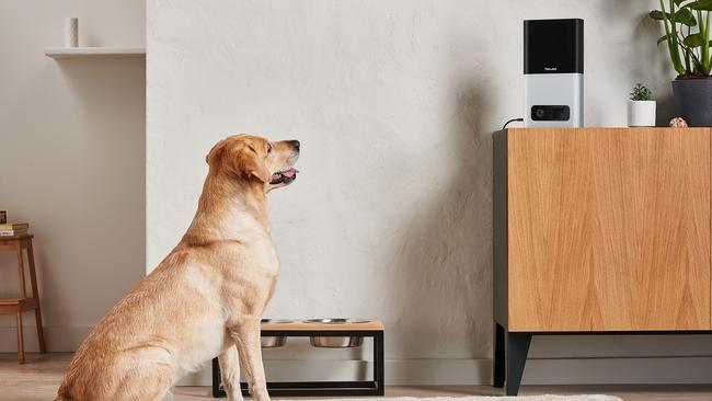 The PetCube Bites smart home device lets pet owners monitor their furry friends remotely.