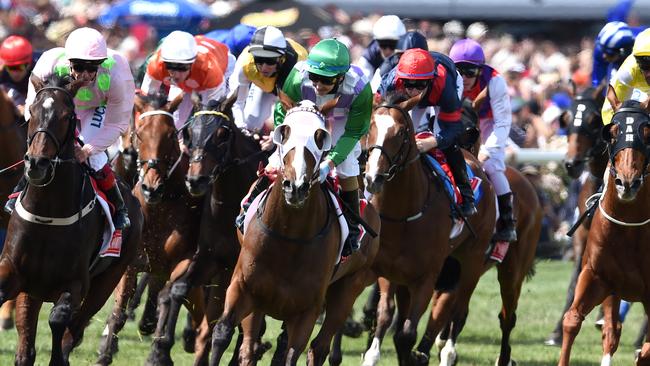 PPrince of Penzance with Michelle Payne aboard winning the Melbourne Cup.