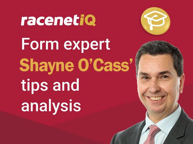 Racenet form analyst Shayne O'Cass.