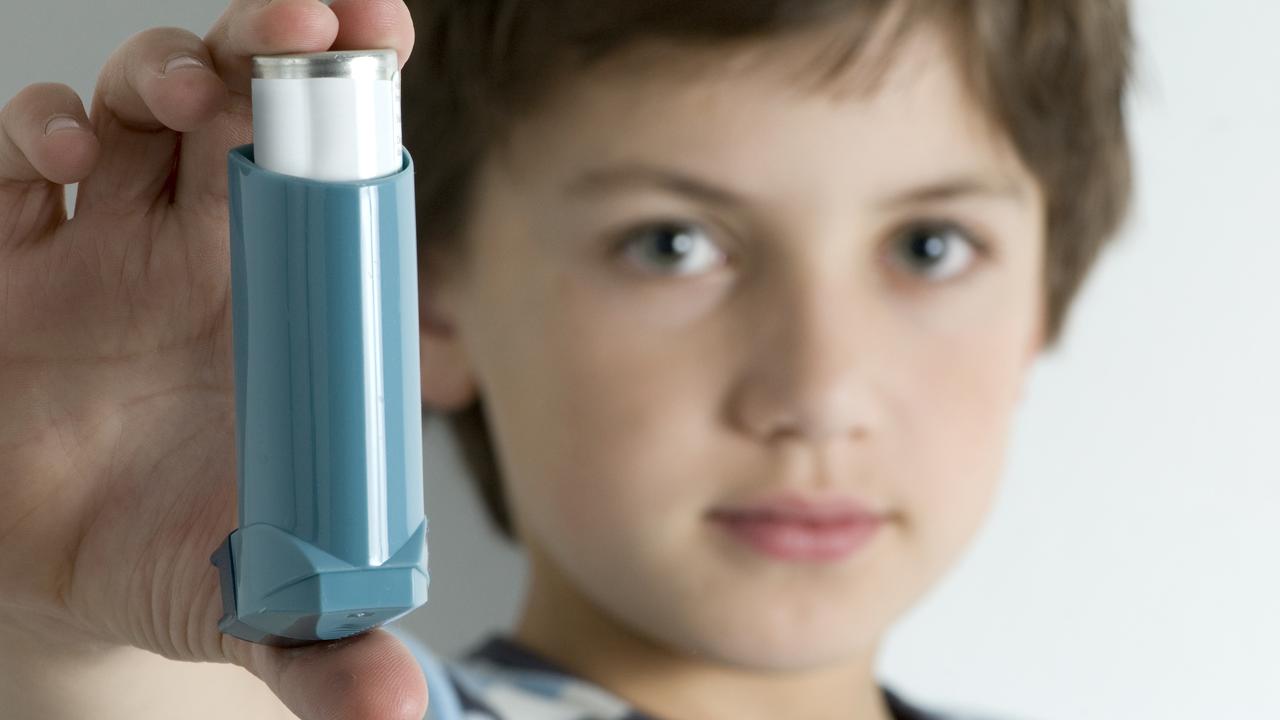 Accidental discovery could be lifeline for asthma sufferers | Herald Sun