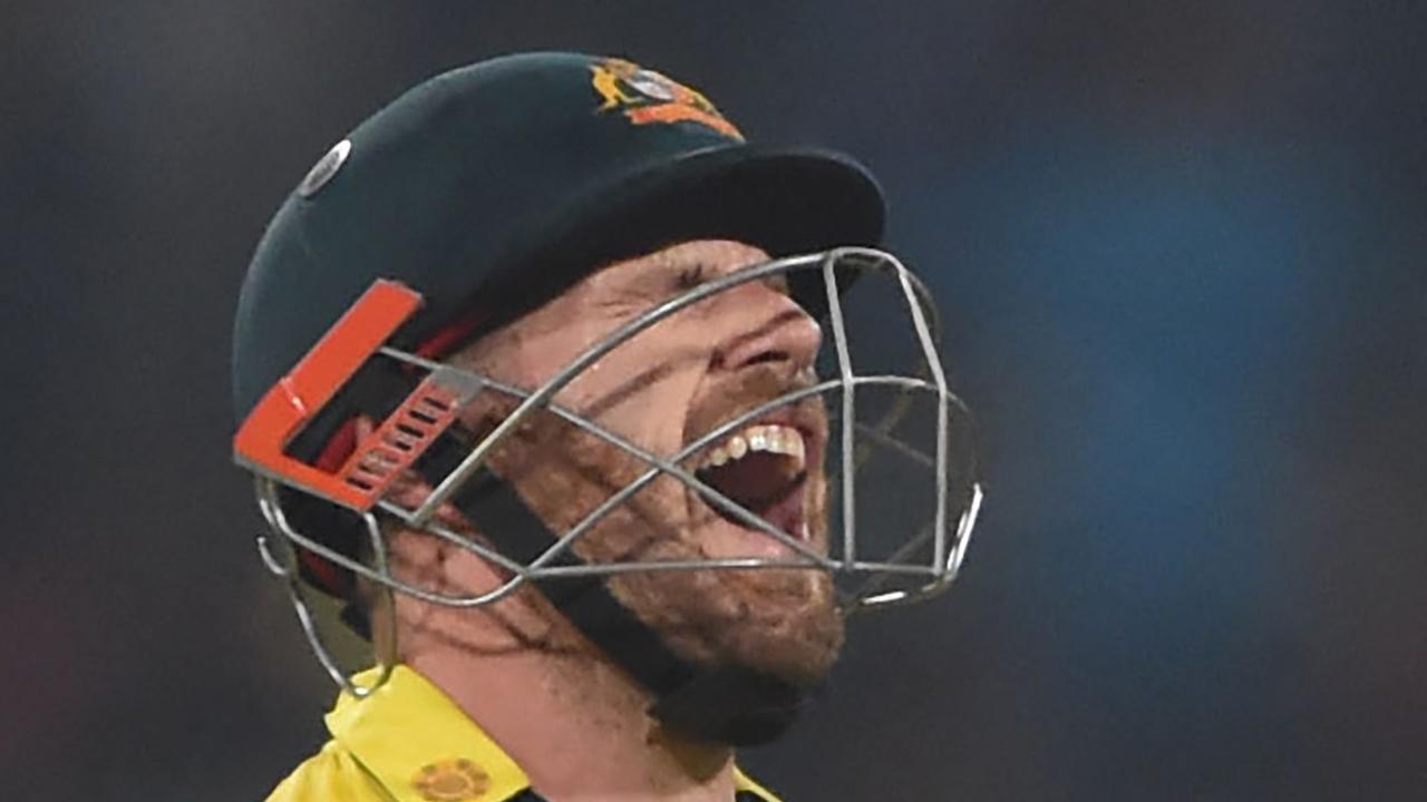 finch-conundrum-how-long-can-aussies-persist