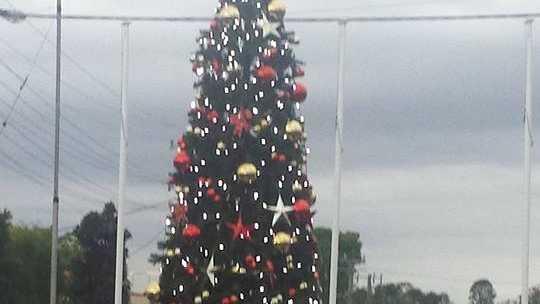 The lighting of Casino's Christmas tree on December 4, 2014. Picture: Leanne Albert