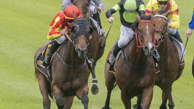 Parry Sound (left) returned to winning form with victory in the Summer Cup at Randwick on Sunday. Picture: Getty Images
