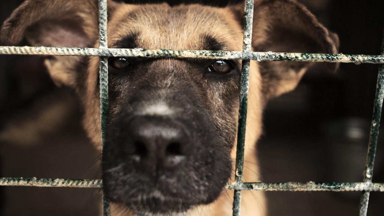 Surprise law that doesn’t exist in all states