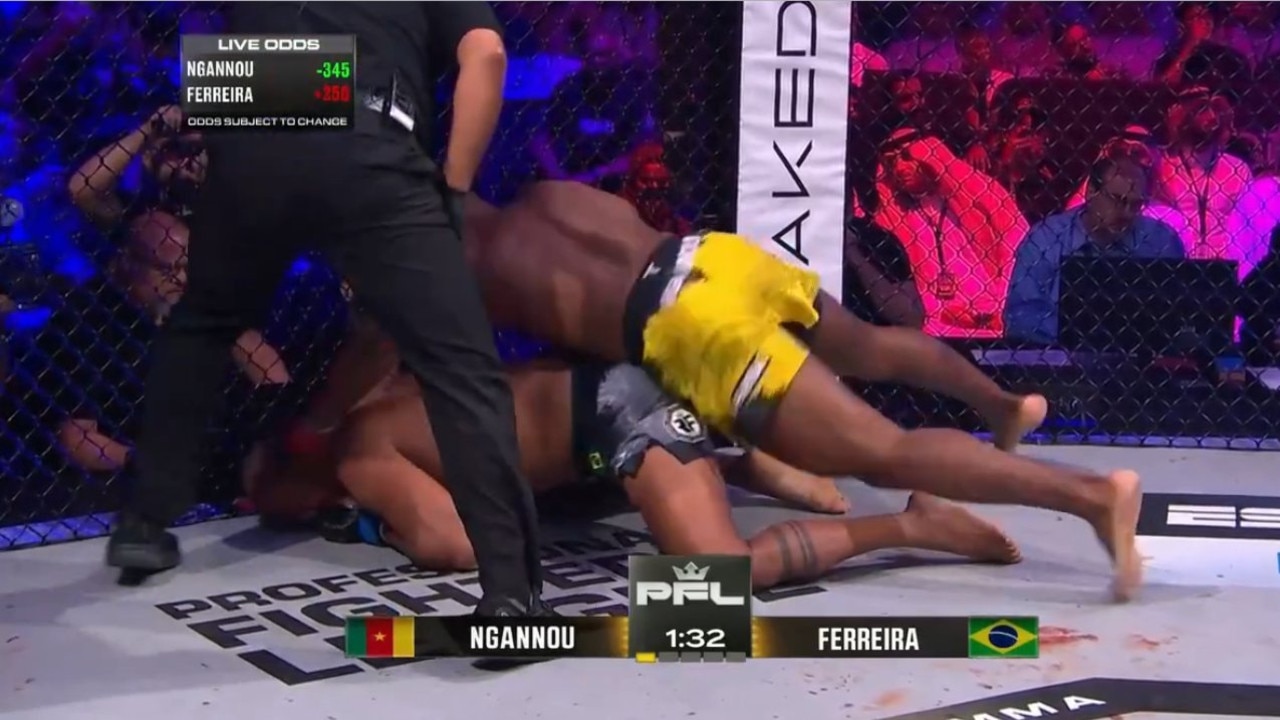 Francis Ngannou thrashed the face of Renan Ferreira.