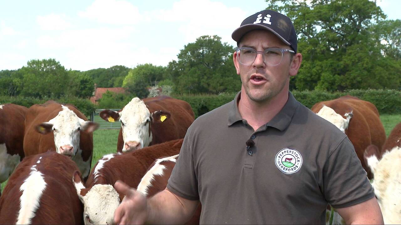 UK farmers fear US trade deal threatens food standards and decades of agricultural progress