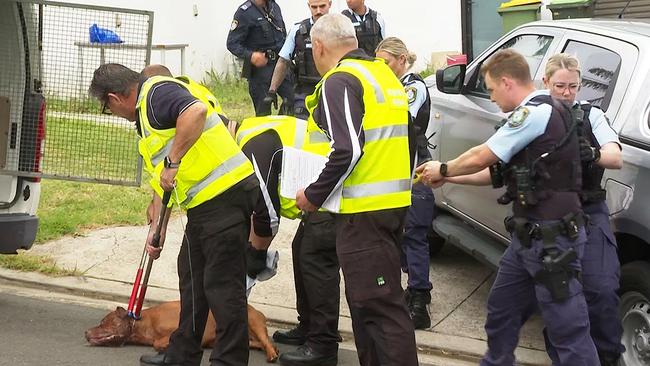 Authorities managed to subdue the dog after deploying a Taser. Picture: TNV