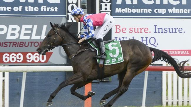 Luna Jet was impressive winning on debut and looks hard to beat again at Wagga. Picture: Bradley Photos