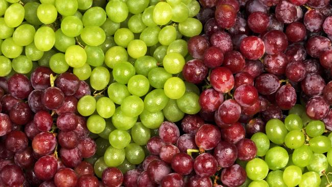 Are red grapes outlet bad for dogs