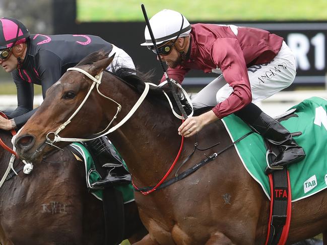 Jockey Corey Brown rides Another Sin (left) to win Race 1: TAB Highway Handicap, during Clubs NSW Western Metropolitan Region Race Day at Rosehill Racecourse in Sydney, Saturday, August 12, 2017. (AAP Image/Daniel Munoz) NO ARCHIVING, EDITORIAL USE ONLY
