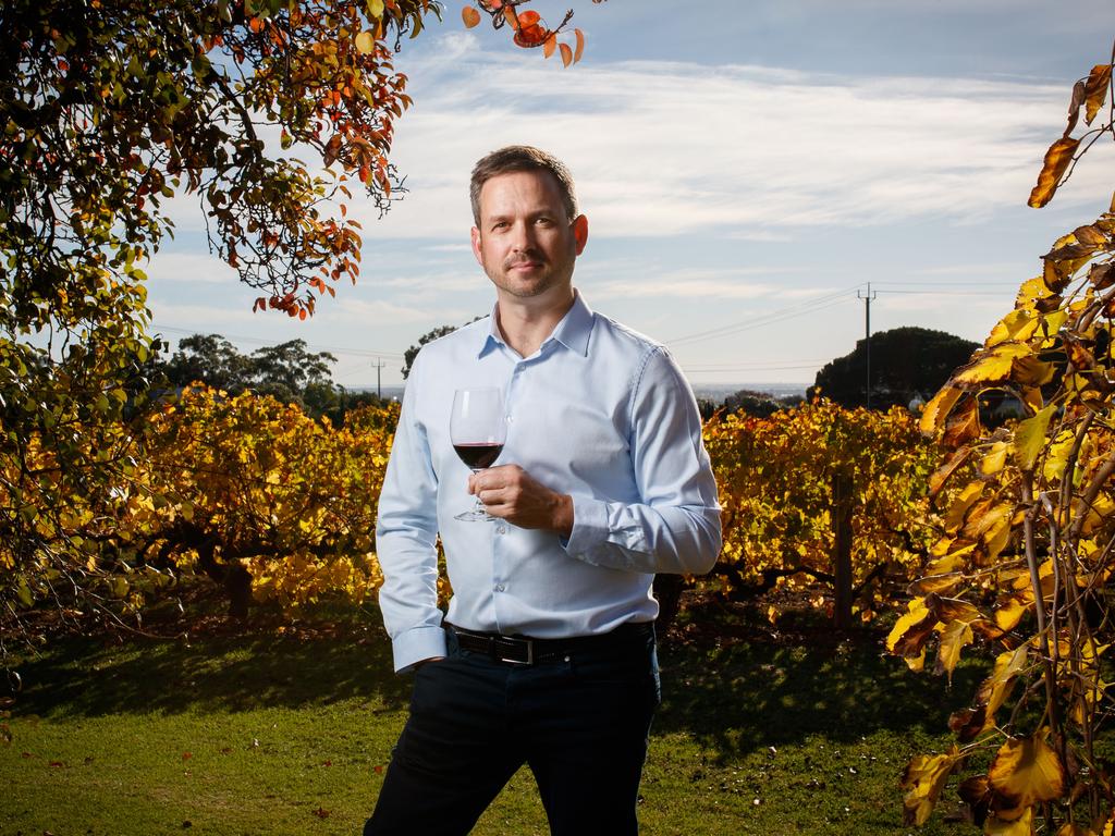 Kerrin Petty, Global Supply Chain Director at Treasury Wine Estates, at Magill Estate. Picture Matt Turner