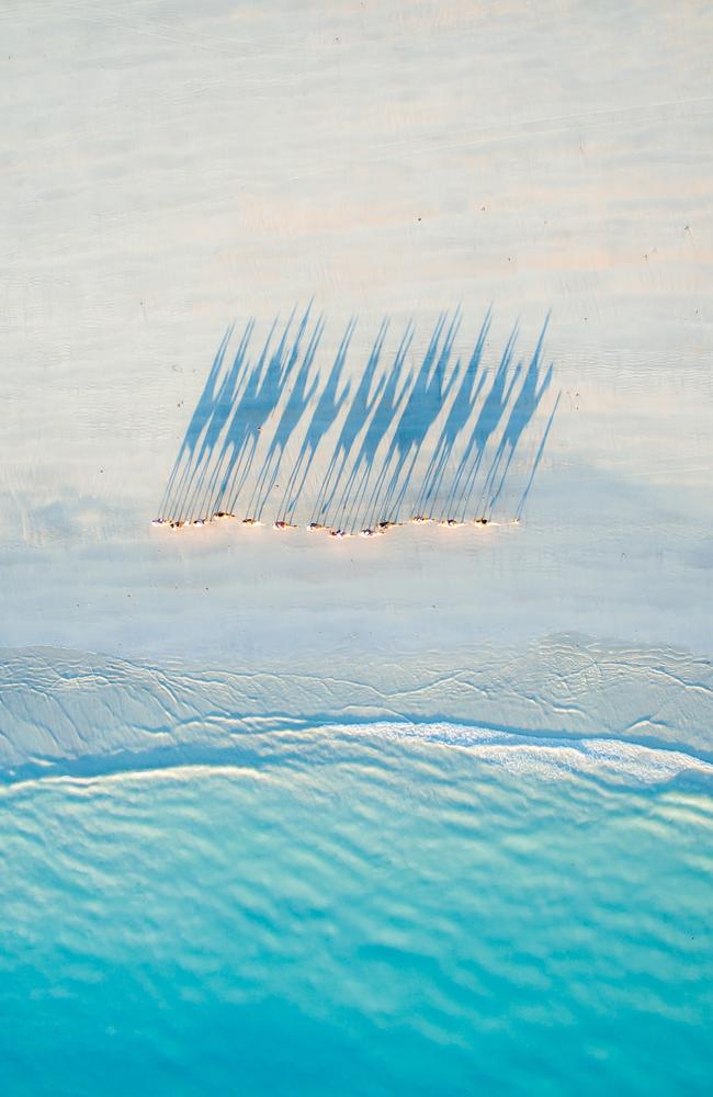 Drone photo of Camels on Cable Beach by Todd Kennedy aka DragonEye http://www.dronestagr.am/cable-beach/