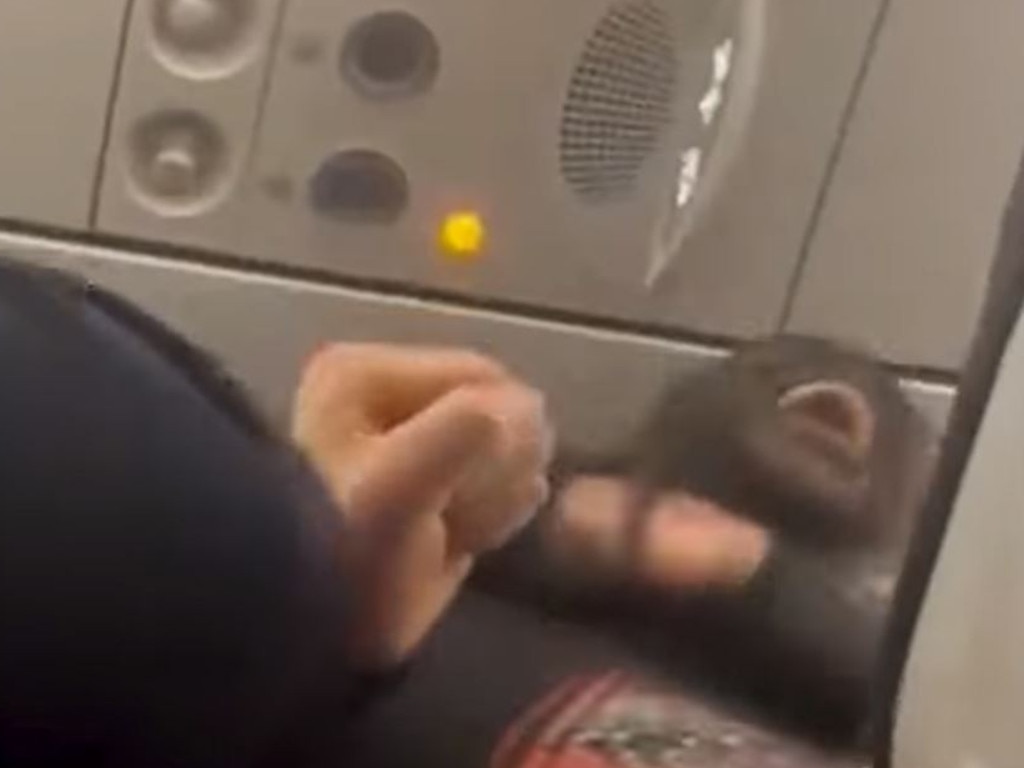 Video has emerged of the moment the man was tasered and dragged off the plane by AFP officers.