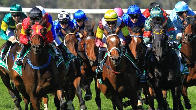 Racing in New South Wales on Thursday is at Port Macquarie.