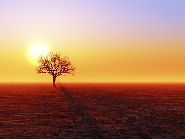 Silhouette of a dried out tree at Deadvlei. Picture: Thinkstock