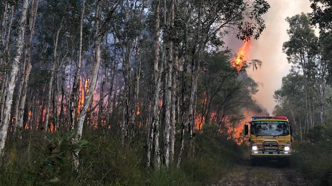 A rural brigade truck traverses a narrow path among the flames at Noosa North Shore this week.