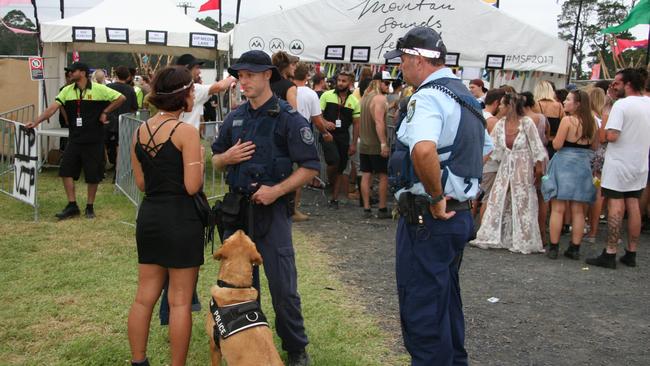 Police speak to revellers at the Mountain Sounds Festival at Kariong in 2017. Picture: Lauren Riley