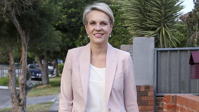 Labor deputy leader Tanya Plibersek on home turf in Sydney yesterday. Picture: Justin Lloyd