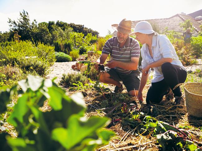 Empty supermarket shelves were an unpleasant first for most Australians during COVID, so a stronger focus on homegrown produce will benefit the regional areas.