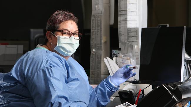 SA Pathology Specimen Receptionist Kylie Justice inputting COVID-19 test results data into the new digital messaging service in the testing lab. Picture: Emma Brasier/AAP