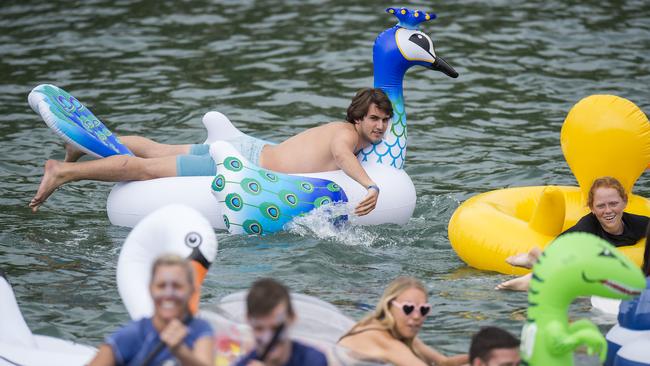 Peacock pose. (AAP IMAGE / Troy Snook)