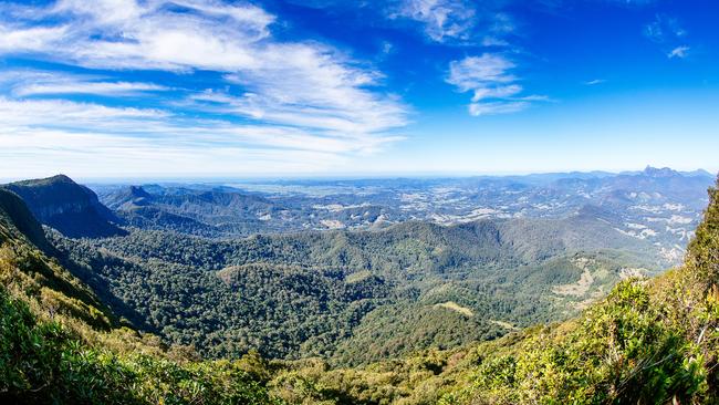 Springbrook’s Best of All Lookout.