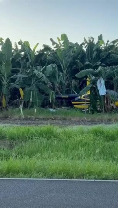 Helicopter crash lands in FNQ banana field