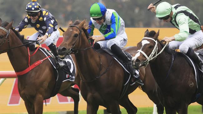 Waihaha Falls can end the day on a high note at Randwick. Picture: Getty Images