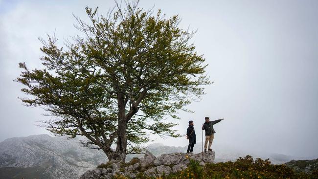 Roads &amp; Kingdoms’ Asturias Unconquered tour goes from the coast to the hills of this area in Spain and back again.