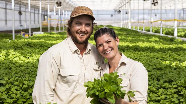 James and Steph Turner from Riverdale Herbs supply the farm box. Picture: Mark Cranitch