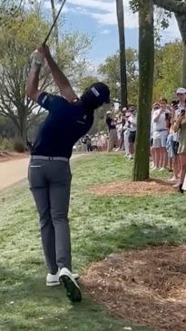 Spectators forced to take cover after rogue golf ball almost takes them out