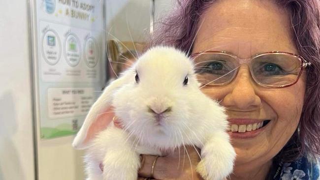 Co-founder of the Rabbit Sanctuary, a rescue organisation for bunnies, Kim Cooney is currently recruiting foster carers.