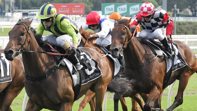 Live And Free has a great chance in the Hawkesbury Gold Cup. Picture: AAP