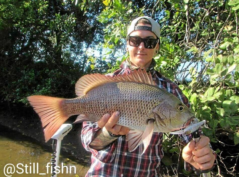 Fishing Monthly Magazines : Chasing jacks around townsville