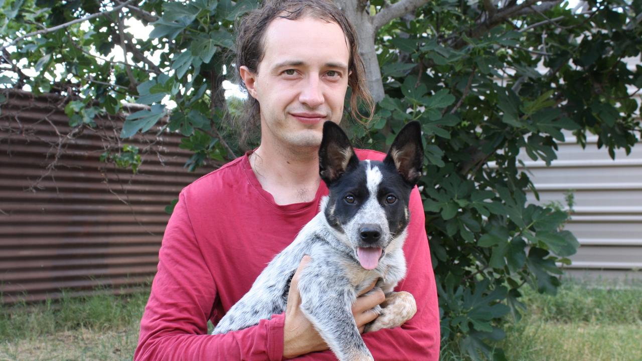 Nushka the blue heeler has been reunited with her owner. Picture: Lee Robinson