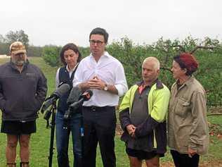 STORM: Agricultural minister David Littleproud and Nanango member Deb Frecklington survey the damage at the Easy 8 Orchards in Kumbia from the severe storm on October 11. Picture: Matt Collins