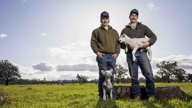 Hamish Ellis and Tyler Hately run two separate joinings, so paddocks can be used multiple times throughout the lambing periods. Picture: Nicole Cleary