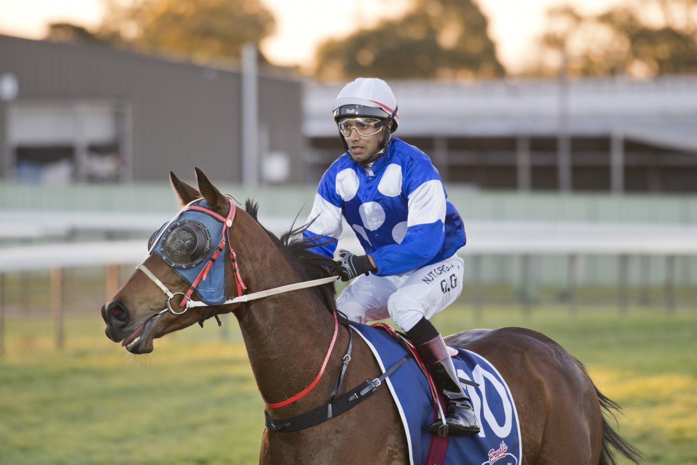 Petite Elle ridden by Girish Goomany wins race 2. Picture: Nev Madsen