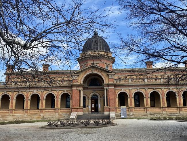 Gary Roy Rayner appeared at Goulburn Local Court via audio visual link for his sentence . Picture: Niki Iliagoueva