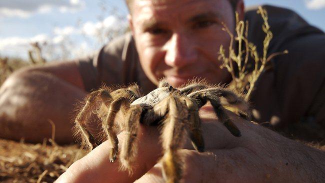 Deadly 60 host Steve Backshall.