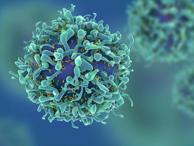 CG render of T-cells in shallow depth of field