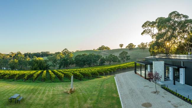 Overlooking the lawn and vines at Nepenthe Wines. 