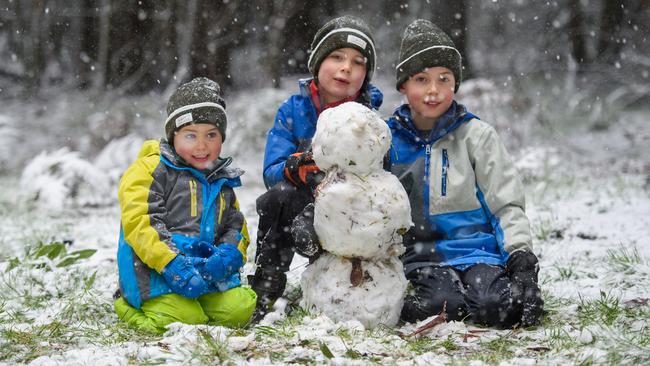 Charlie, Hamish and Lachie playing in the snow on Mt.Macedon.Picture: Jay Town