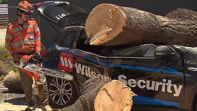 A man is lucky to be alive after a tree came crashing down onto his car at Richmond. Picture: 7NEWS Adelaide