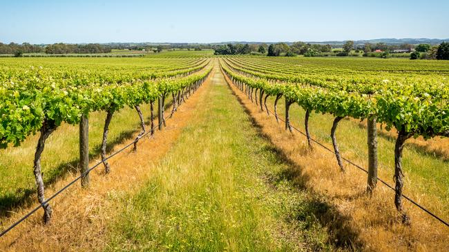 Wine Equalisation Tax Rebate Australia